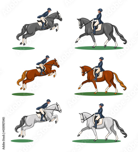 Horse Riding Woman Riding Dressage Horse in Cartoon Style