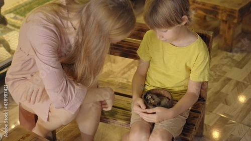 A woman and her little son visit a cafe with animals. Cafe where you can contact animals. A boy holds a nest with two sleepy flying squirrels photo