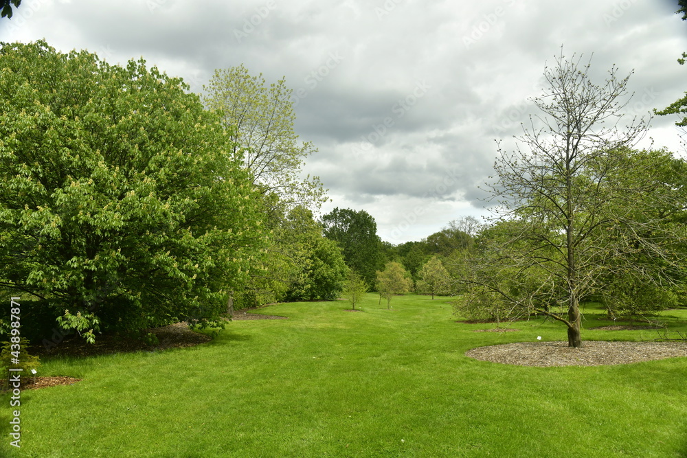 Nuages gris et parfois sombres contrastant avec la beauté verte des feuillage des arbres et pelouses de l'arboretum de Wespelaar en Brabant Flamand 