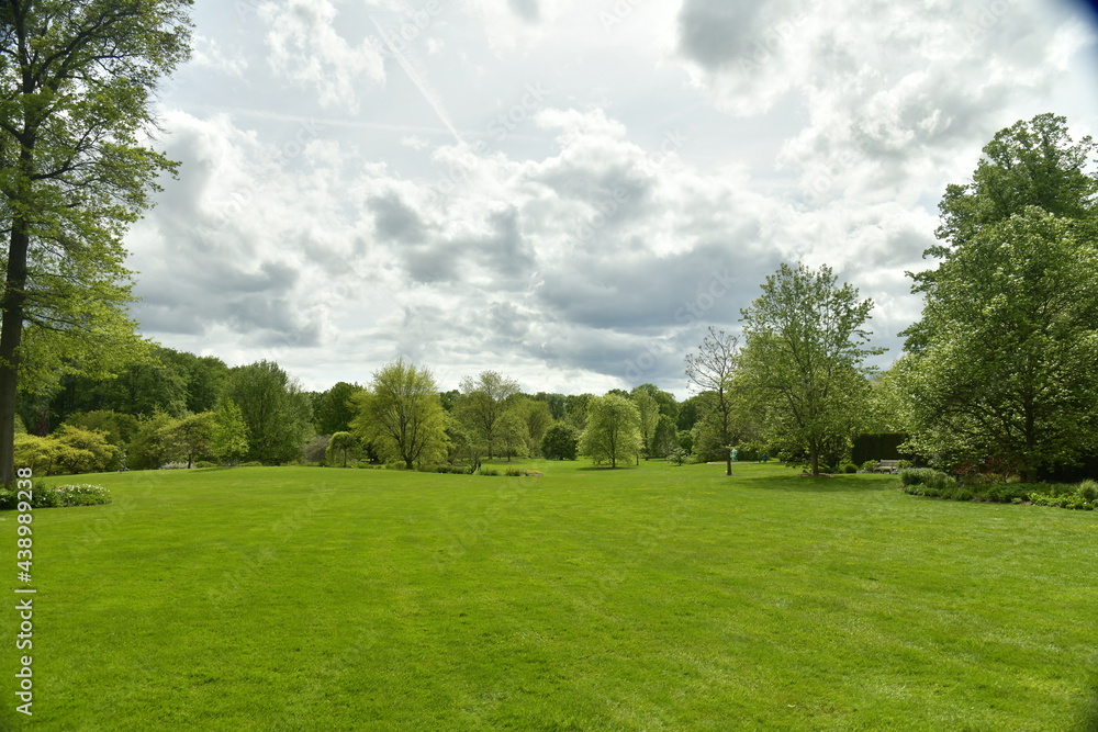 Nuages gris et parfois sombres contrastant avec la beauté verte des feuillage des arbres et pelouses de l'arboretum de Wespelaar en Brabant Flamand 