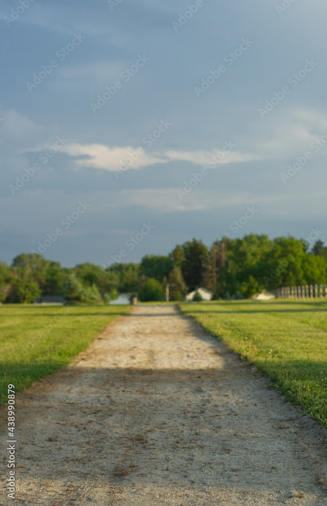 View of a straight gravel path in the park