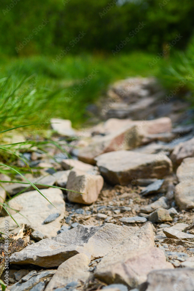 Scenic cycle or walking route along a countryside path Scenic cycle or walking route along a countryside path
