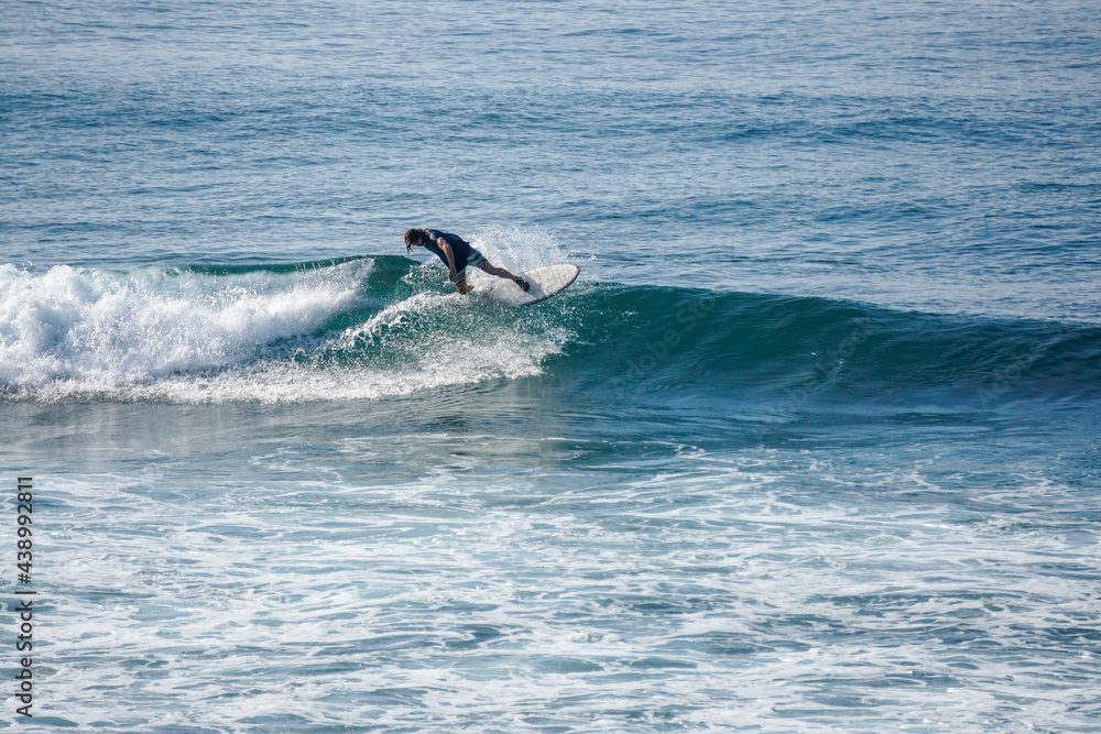Fototapeta premium Surfer on perfect blue aquamarine wave, empty line up, perfect for surfing, clean water, Indian Ocean close to Mirissa