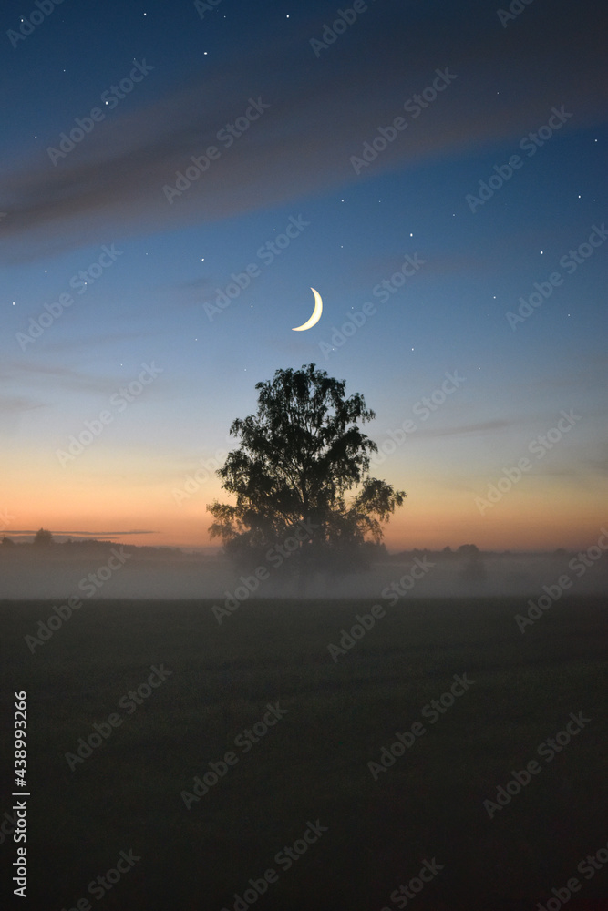 Fototapeta premium Moon in the sky over a foggy field