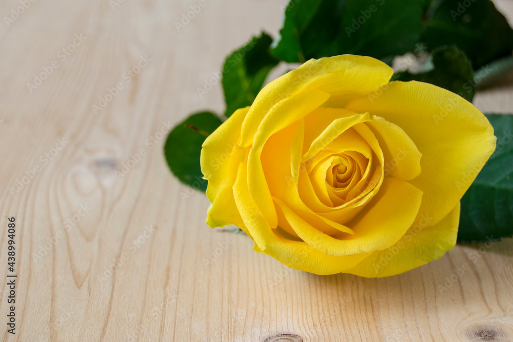 Naklejka premium A beautiful decorative flower with petals of yellow color. One rose flower is on a wooden background..
