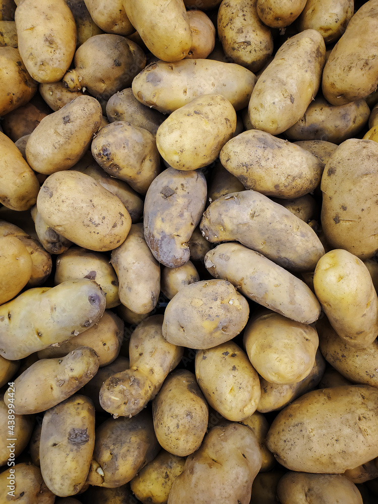 Bunch of fresh potato in supermarket shelves , yellow potatoes Bunch of fresh potato in supermarket shelves , yellow potatoes