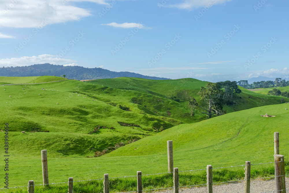 Waikato region in New Zealand Waikato region in New Zealand
