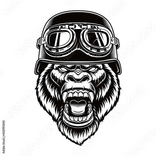 Vector illustration of a gorilla biker