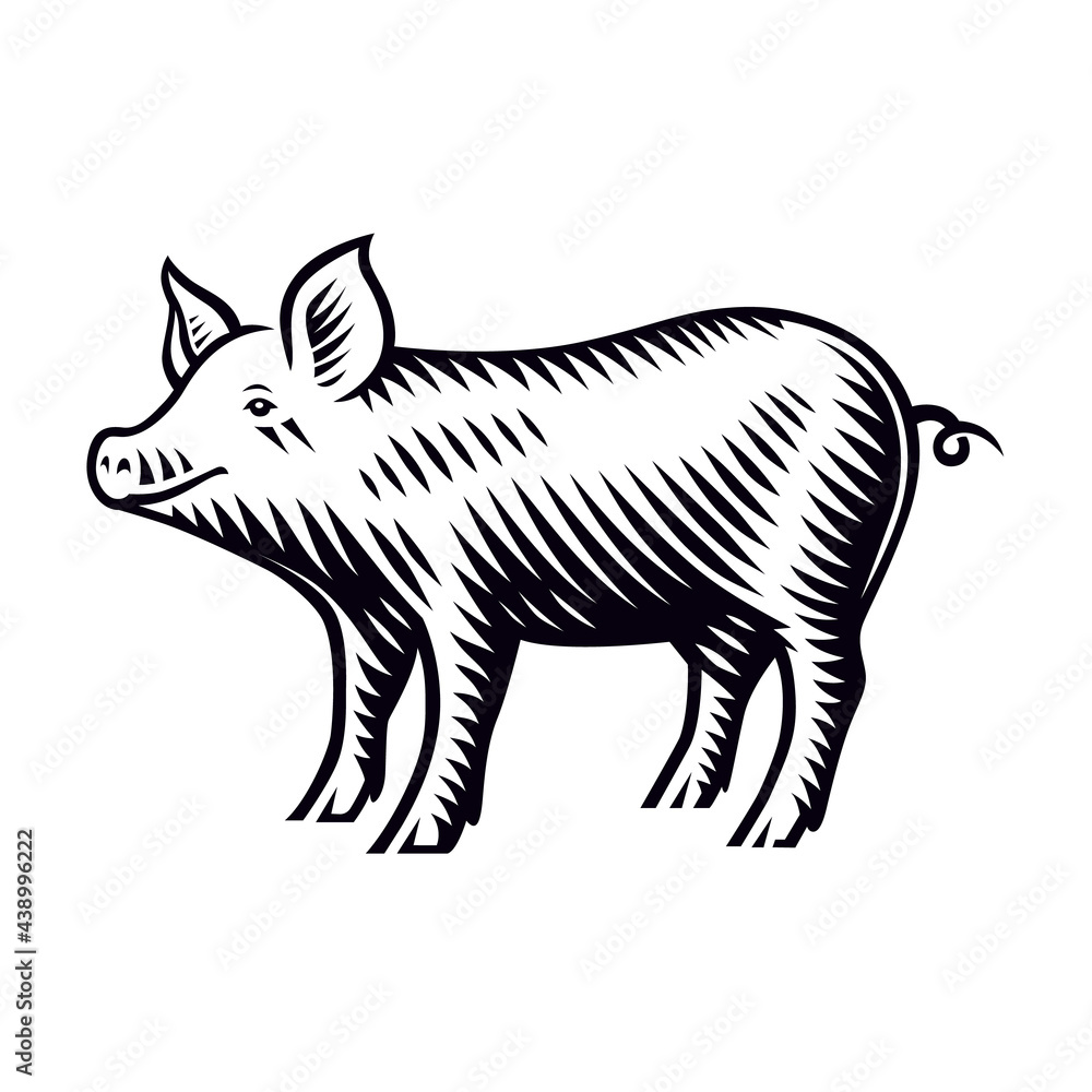 A black and white vector illustration of a piglet