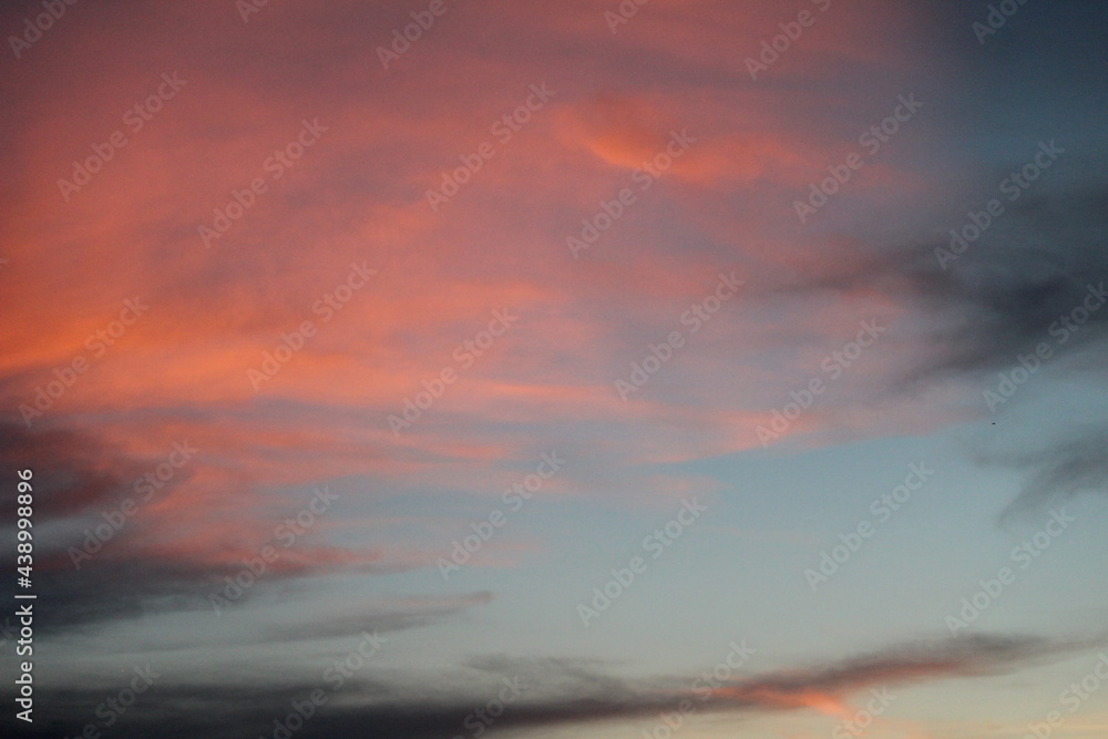 Obraz premium Rose sky