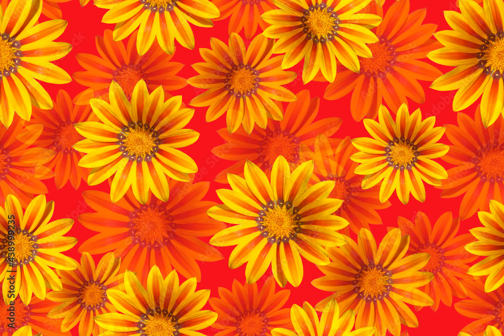 Seamless pattern with yellow flowers on a white background. Seamless pattern with yellow flowers on a white background.