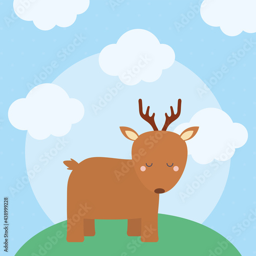 beauty deer design