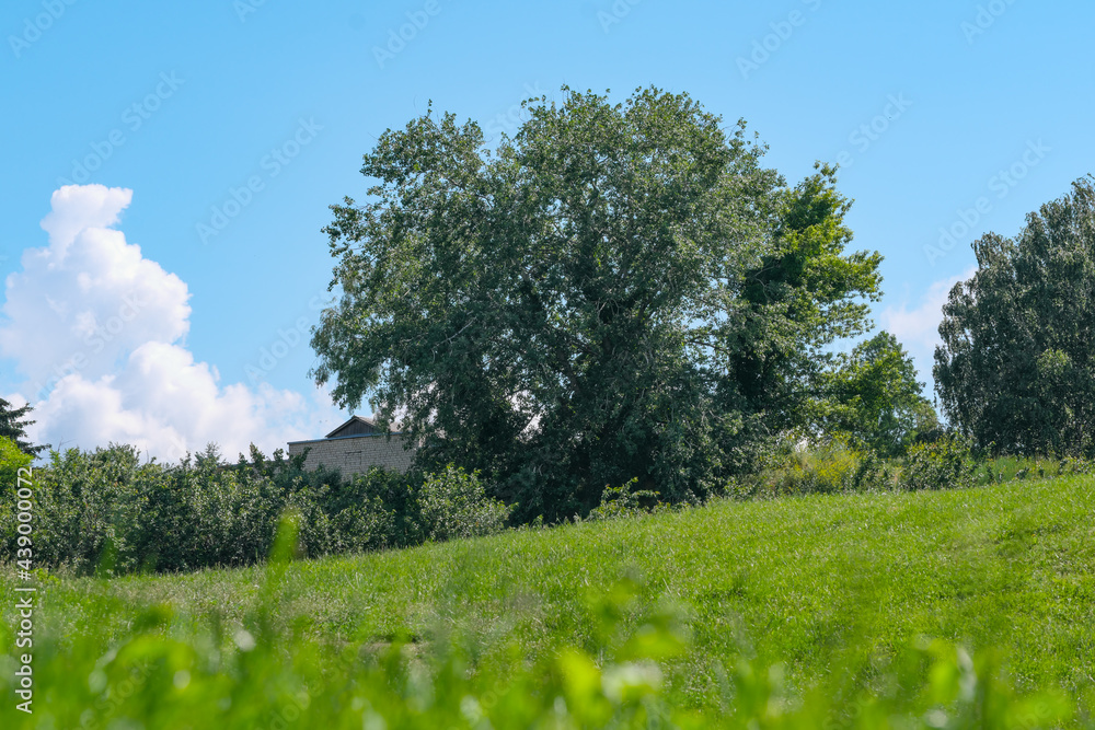 Fototapeta premium Beautiful natural landscape