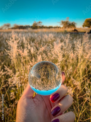  Crystal Ball in the nature
