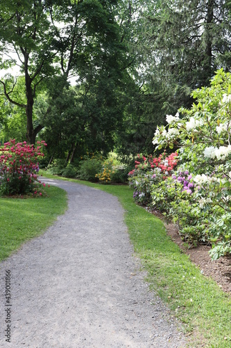 Petit chemin dans un parc. Jardins dans un parc. Sentier et nature. Pante et fleur dans un parc. 