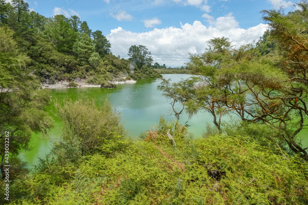 Obraz premium Waiotapu in New Zealand