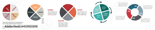 Circle divided in four equal parts, different versions - infographics element