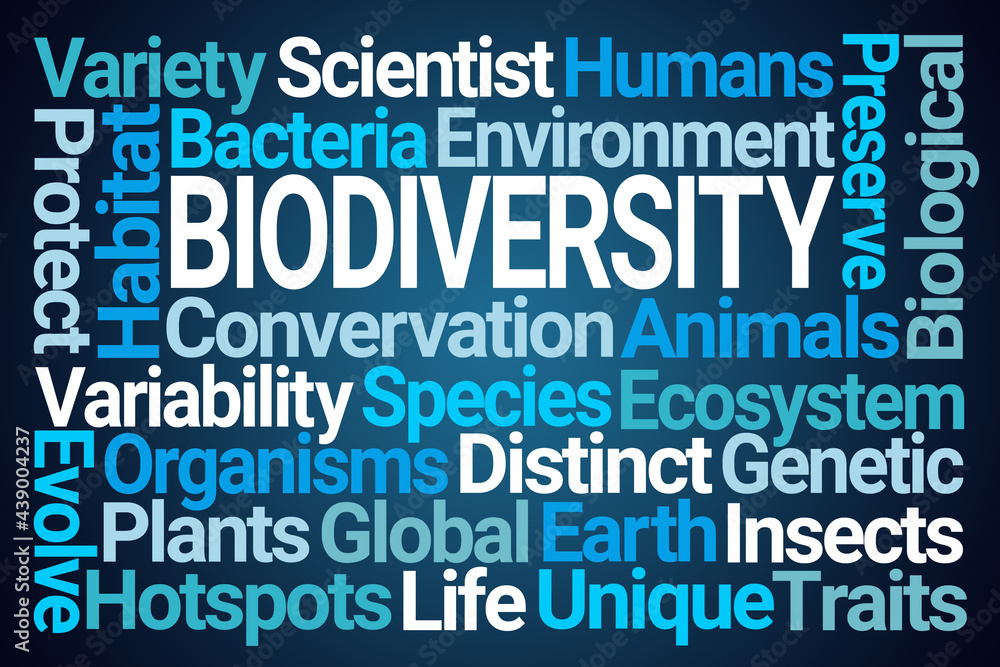 Biodiversity Word Cloud on Blue Background Biodiversity Word Cloud on Blue Background