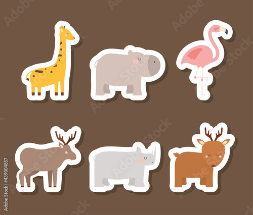 six animals illustration