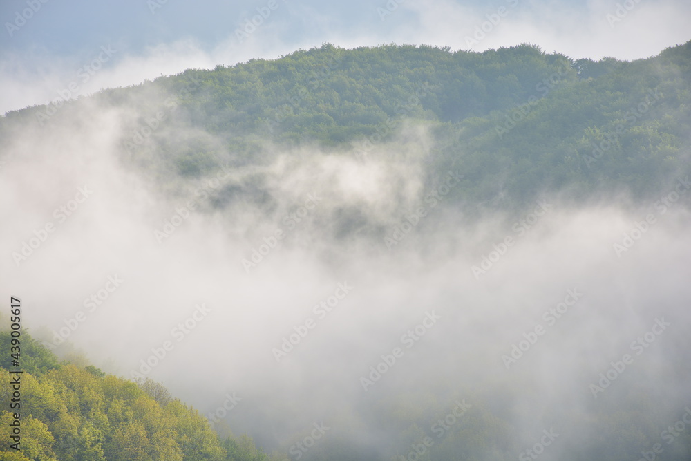 morning mist on the hill. beautiful nature scenery in spring. scenic nature scenery on a sunny weather morning mist on the hill. beautiful nature scenery in spring. scenic nature scenery on a sunny weather