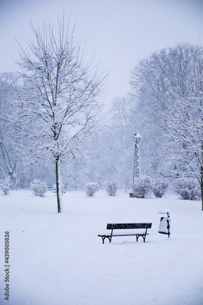 An empty snow-covered park bench near a tree on a winter day. Snow-covered city park, snowfall. Winter landscape.