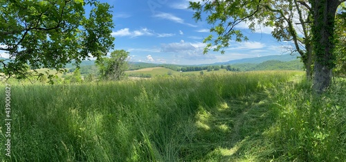 Canvastavla Keefer Oak - Appalachian Trail - Newport, VA