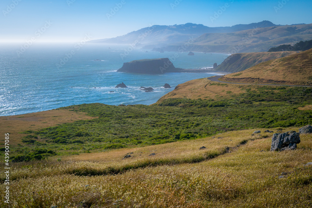 Incredible view. Bright green grass on the sea background. Sonoma Coast State Park, California, USA