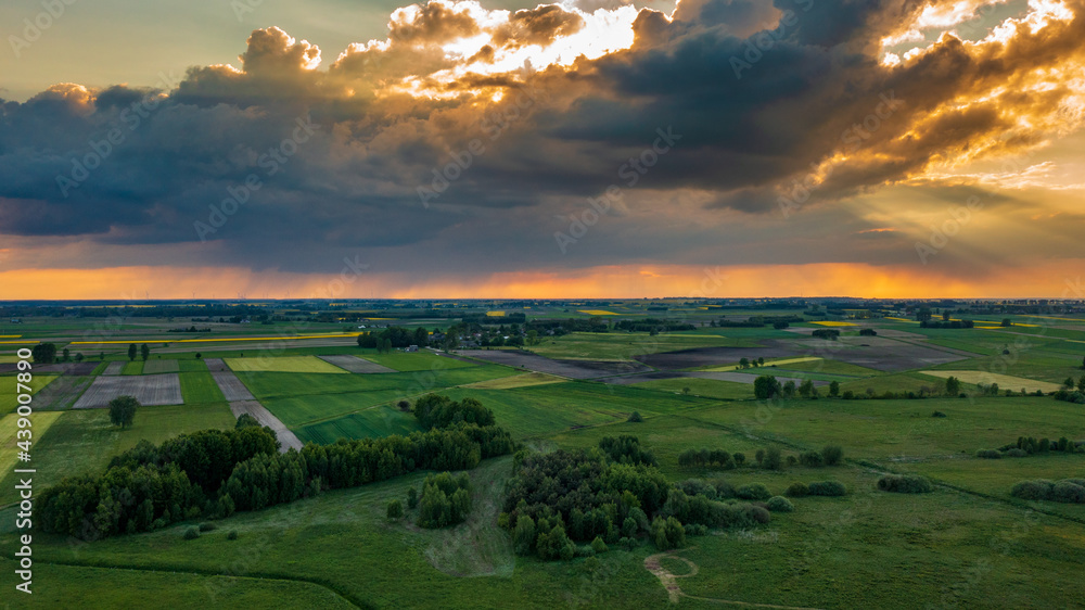 Field with trees landscape from aerial Field with trees landscape from aerial