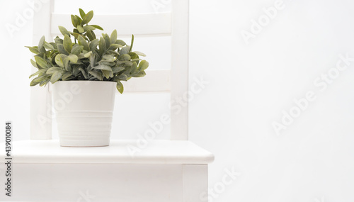Artificial green plant in pot on chair on background of white wall. Copy space for text. Moving home concept