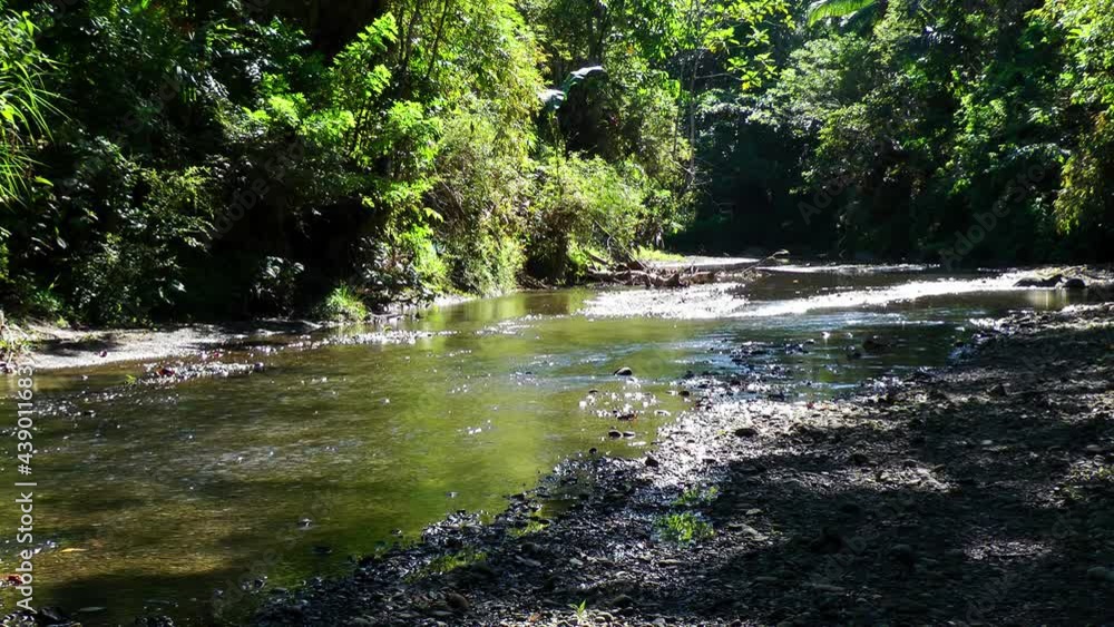 Small river during dry season in the Philippines Small river during dry season in the Philippines