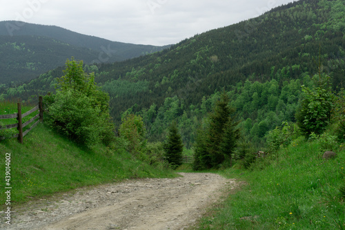 mountain road among green grass