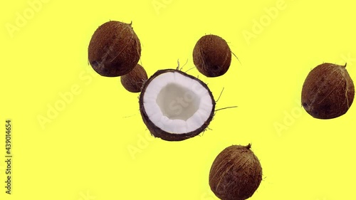 Coconuts Flying and Floating in the Air on the Yellow Background