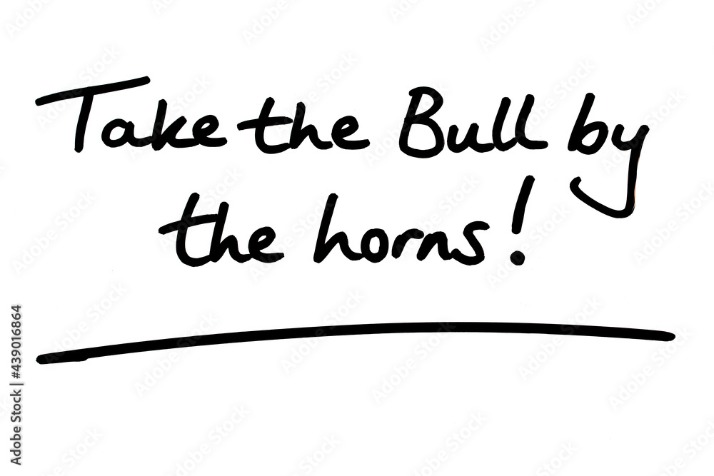 Take the Bull by the horns! Take the Bull by the horns!