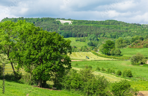 Haymaking in the rural, picturesque village of Kilburn, near Thirsk in North Yorkshire with the landmark hill figure of the White Horse of Kilburn in the distance. Horizontal.  Space for copy. photo
