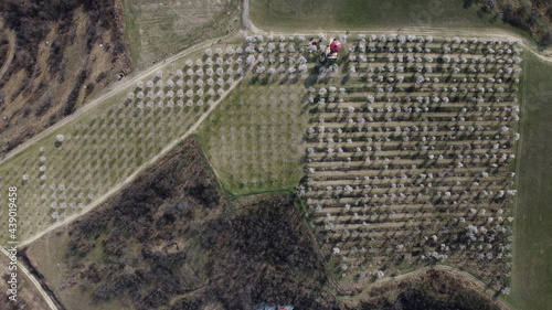 Watchtower Mandlonove sady Hustopece Czechia Mandloňová rozhledna a sady v Hustopečích photo