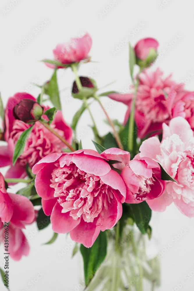 Bunch of peonies in glass vase close up. Bouquet of pink flowers.