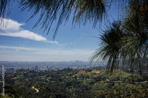 Los Angeles cityscape with trees in frame