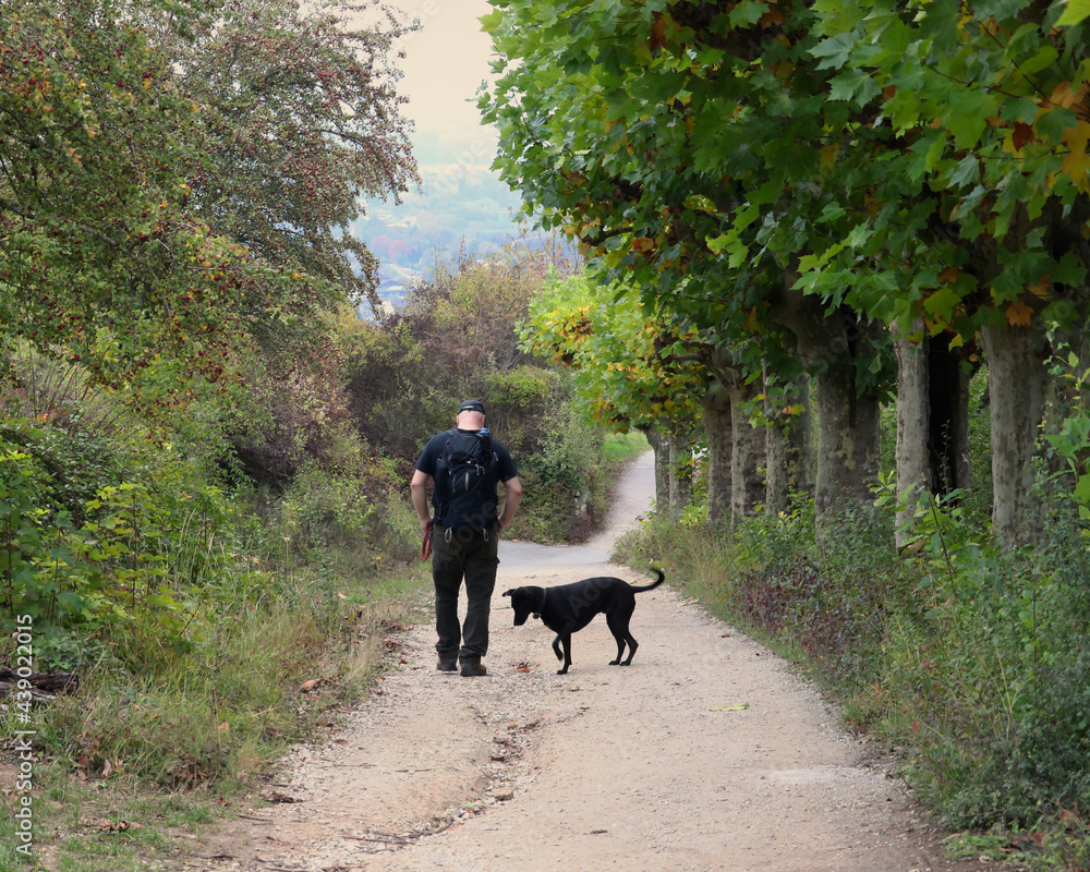 Man looking down at his black labrador retriever dog on a walking path near Rudesheim am Rhein, Germany. Man looking down at his black labrador retriever dog on a walking path near Rudesheim am Rhein, Germany.