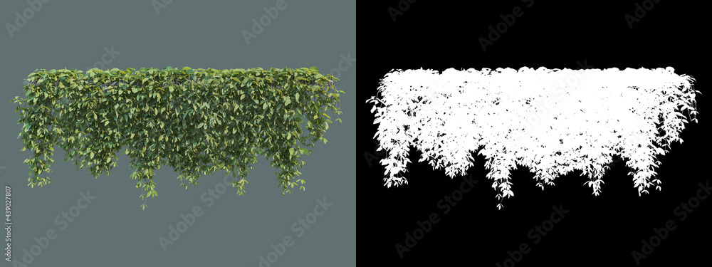 A wide variety of trees and shrubs
A wide variety of trees and shrubs