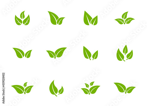 Set of isolated green leaf icons on white background. Various forms of green leaves of trees and plants. Abstract natural leaf icons. Elements for ecotypes and biotypes. Vector illustration. EPS 10