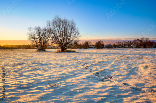 Countryside cold and sunny winter morning © Michał Kozera
