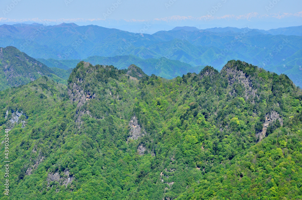 奥秩父の両神山　山頂からの眺望　緑の倉門山と赤岩岳と大ナゲシ
奥秩父　両神山（剣ヶ峰）より左が赤岩岳、右が大ナゲシ