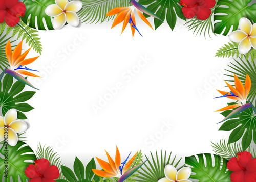 Fototapeta Naklejka Na Ścianę i Meble -  Summer frame with tropical leaves and exotic flowers