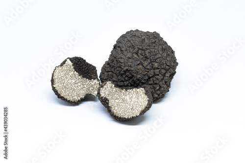 black truffle, tuber aestivum, white background photo