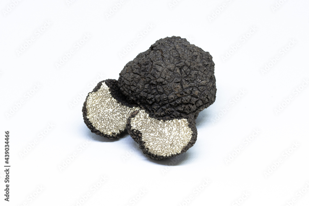 black truffle, tuber aestivum, white background black truffle, tuber aestivum, white background