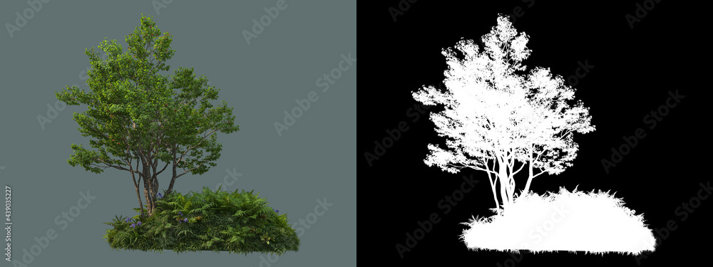 Fototapeta premium A wide variety of trees and shrubs 