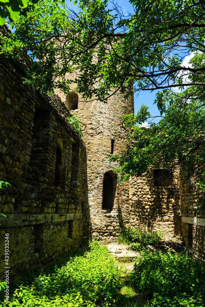 Ruins of Kvemo Chala castle