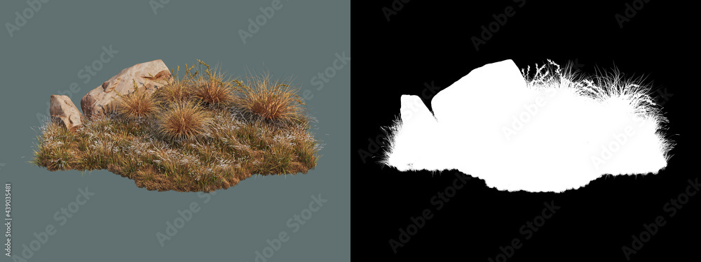 A wide variety of trees and shrubs
A wide variety of trees and shrubs