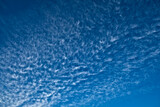 Pure white fluffy clouds (cirrus) in vivid blue sky.