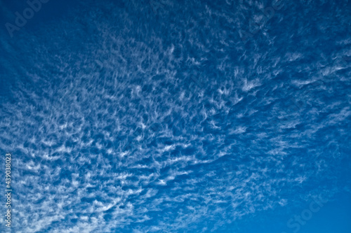 Pure white fluffy clouds (cirrus) in vivid blue sky.